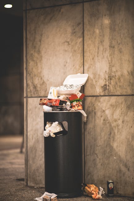 Westminster council rules for Knightsbridge rubbish disposal